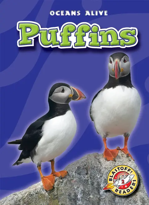 Cover of Puffins