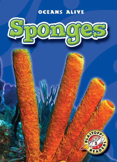 Cover of Sponges