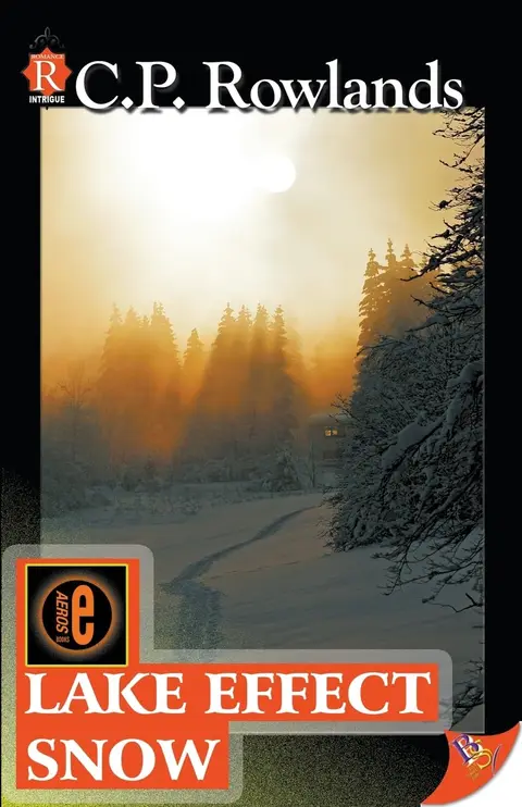 Cover of Lake Effect Snow