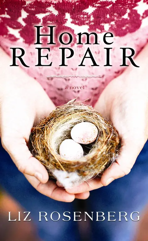 Cover of Home Repair