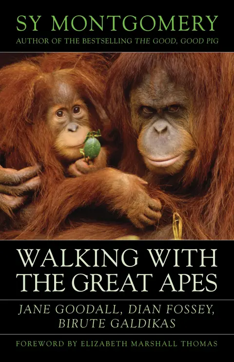 Cover of Walking with the Great Apes