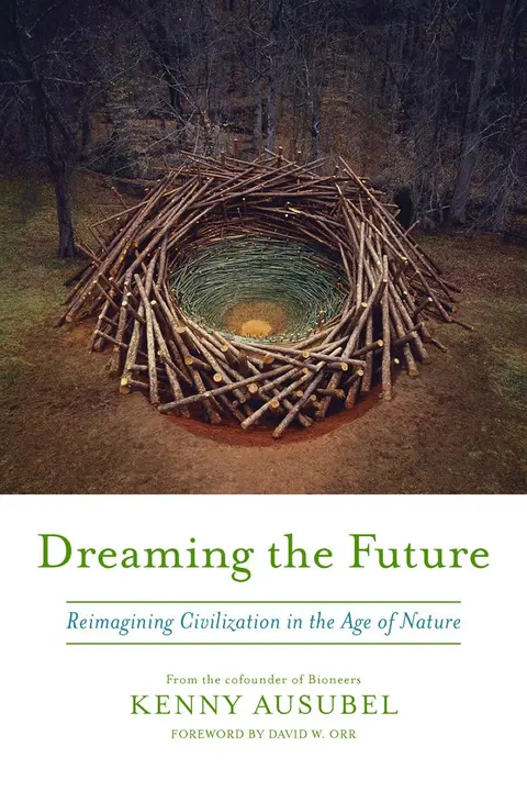 Cover of Dreaming the Future