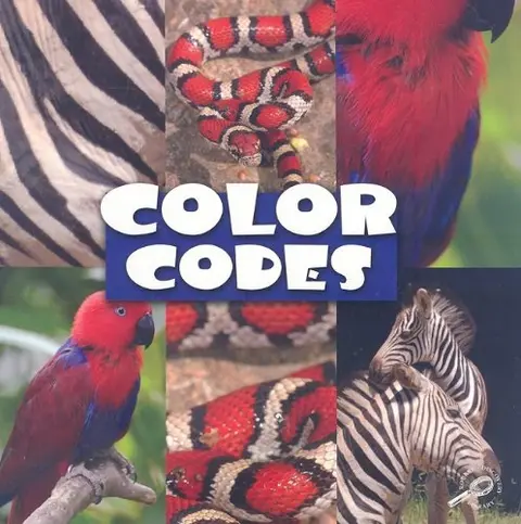Cover of Color Codes