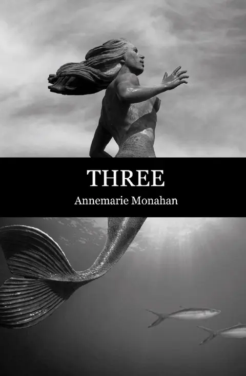 Cover of Three