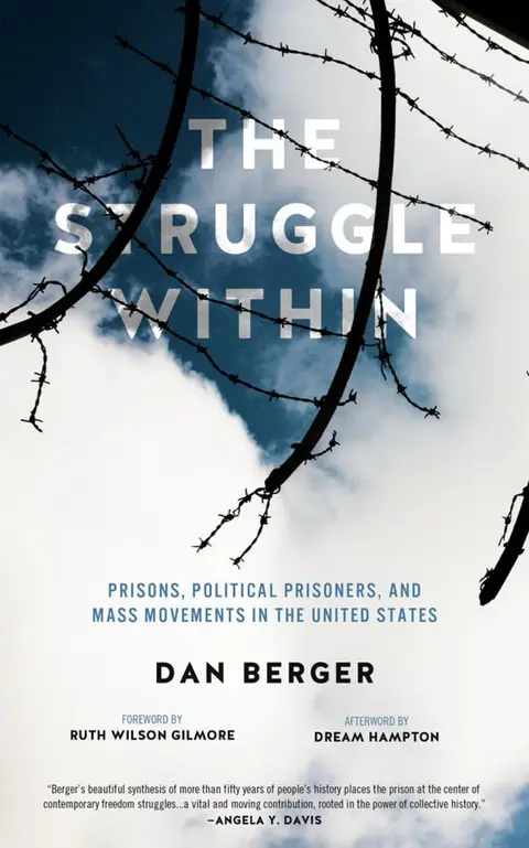 Cover of Struggle Within