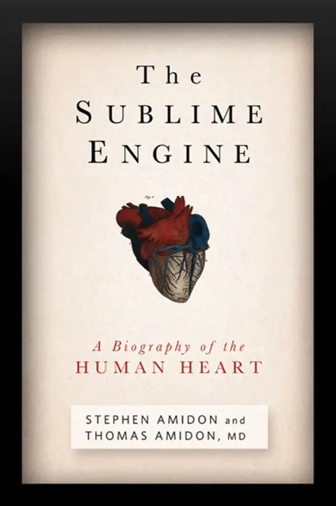 Cover of The Sublime Engine