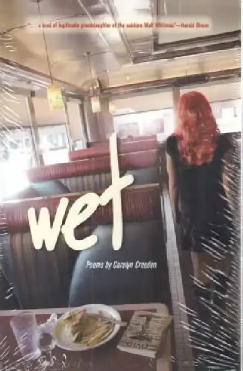 Cover of Wet