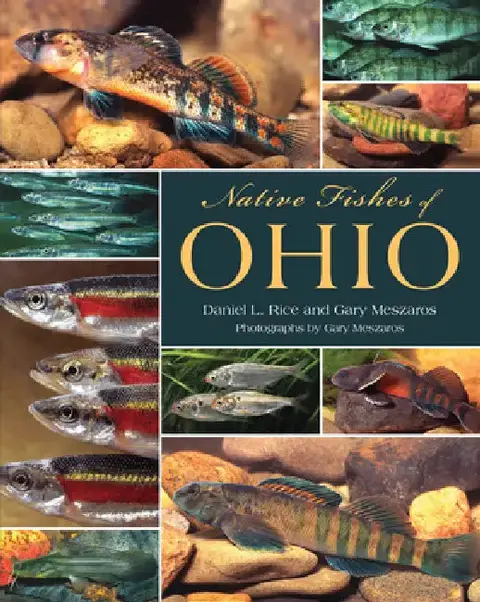 Cover of Native Fishes of Ohio