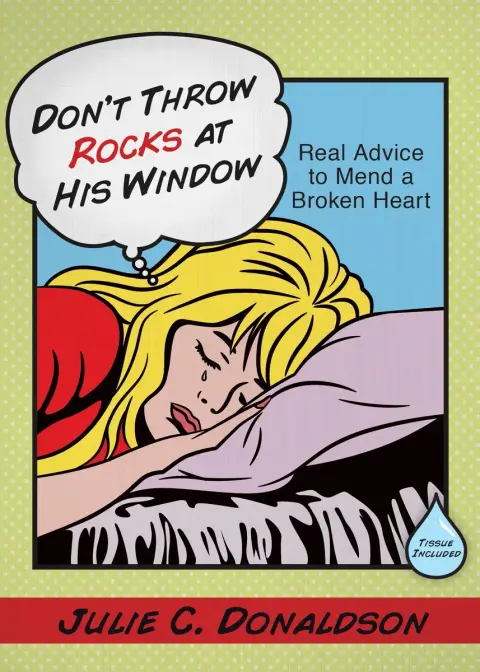 Cover of Don't Throw Rocks at His Window