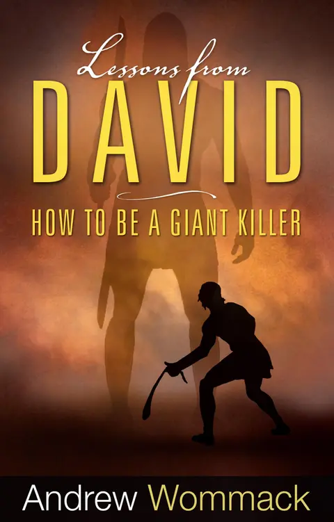 Cover of Lessons from David