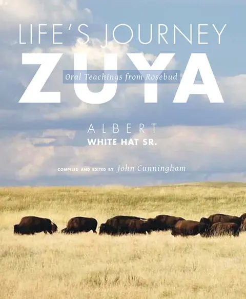 Cover of Life's Journey-Zuya