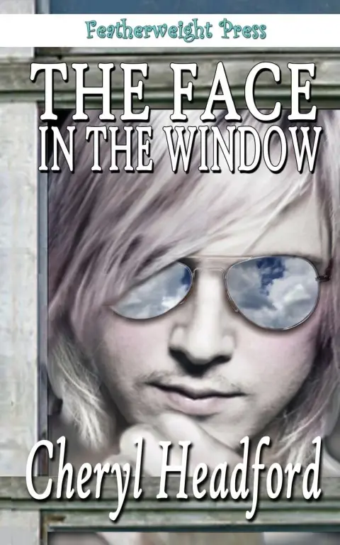 Cover of The Face in the Window