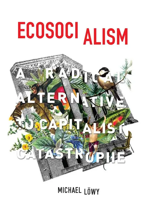 Cover of Ecosocialism