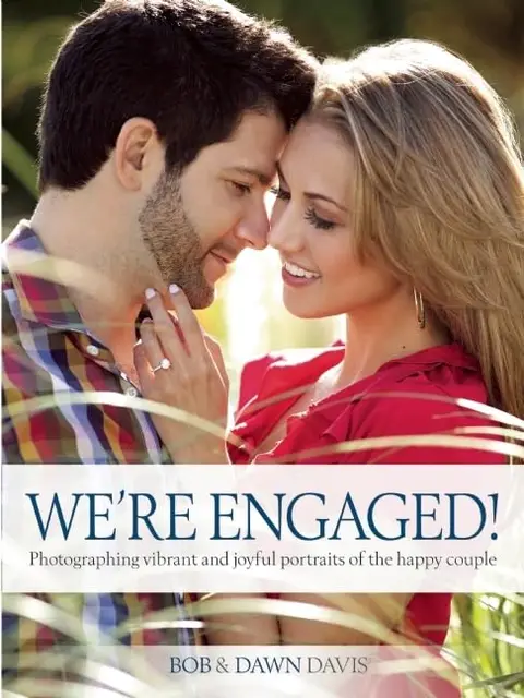 Cover of We're Engaged!