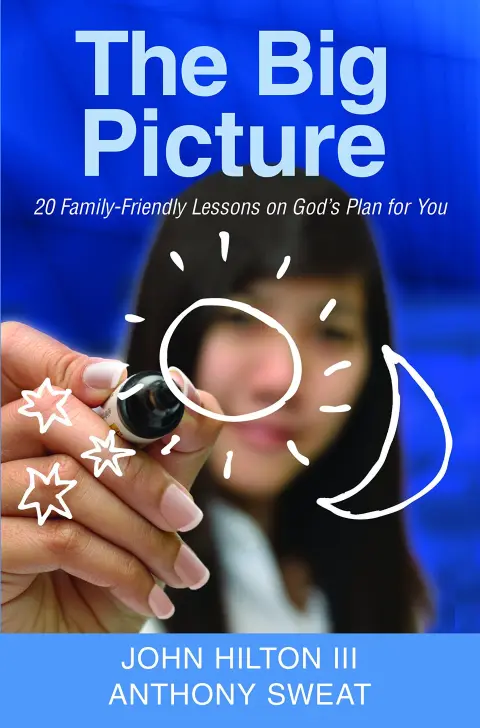 Cover of The Big Picture