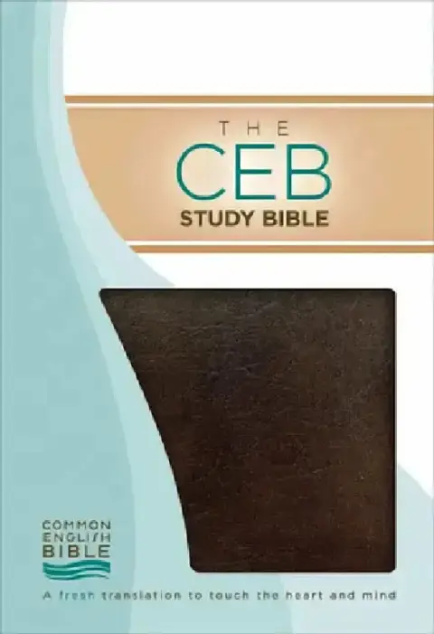 Cover of Study Bible-Ceb