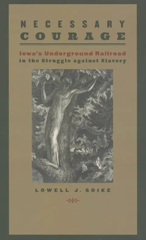 Cover of Necessary Courage