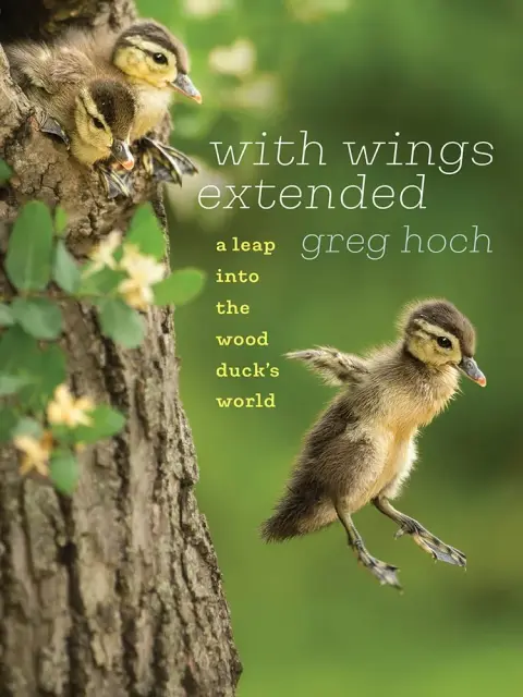 Cover of With Wings Extended
