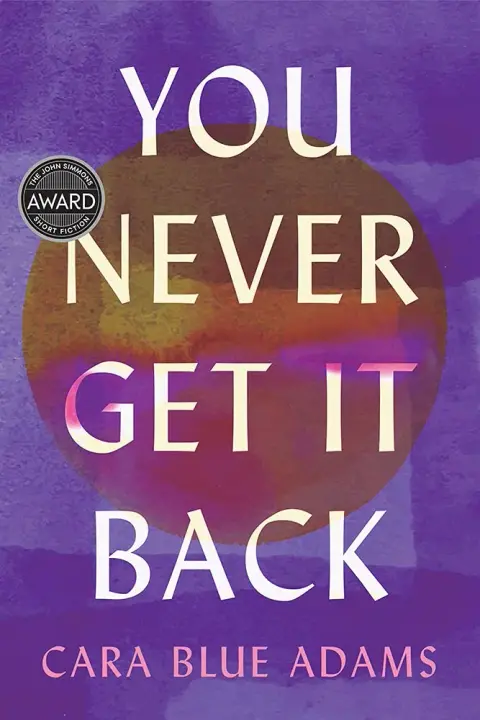 Cover of You Never Get It Back