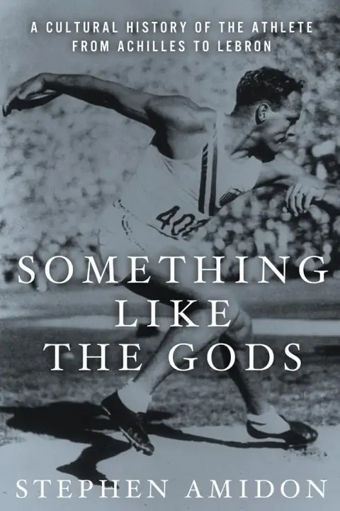 Cover of Something Like the Gods