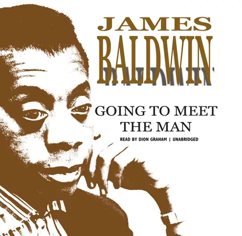 Cover of Going to Meet the Man