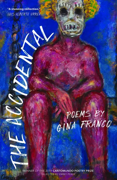 Cover of The Accidental