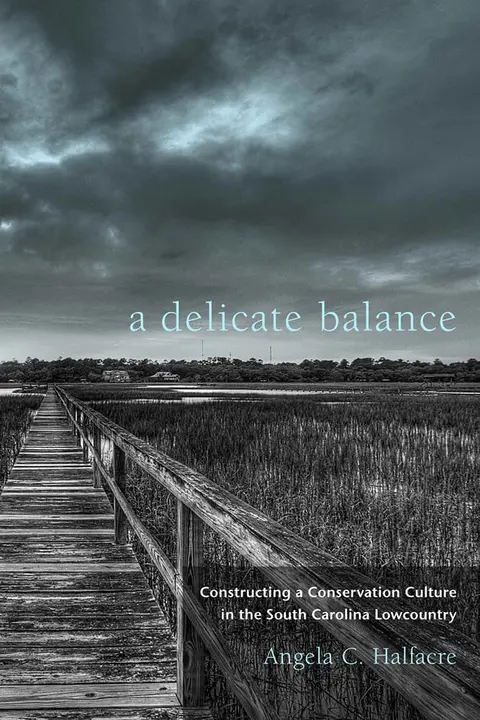Cover of A Delicate Balance