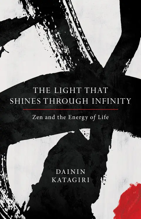 Cover of The Light That Shines Through Infinity