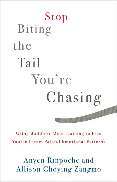 Cover of Stop Biting the Tail You're Chasing