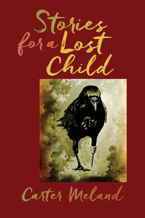 Cover of Stories for a Lost Child