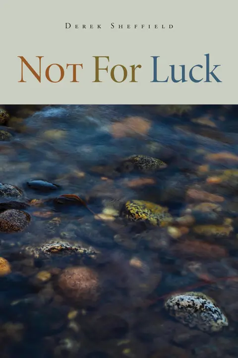 Cover of Not for Luck