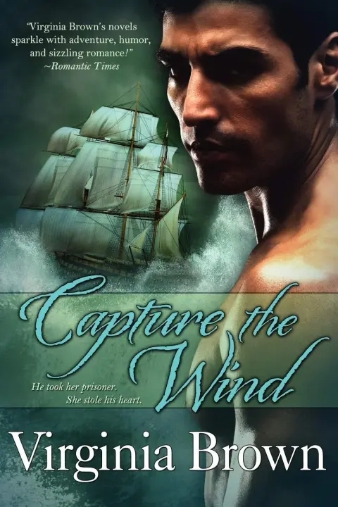 Cover of Capture the Wind