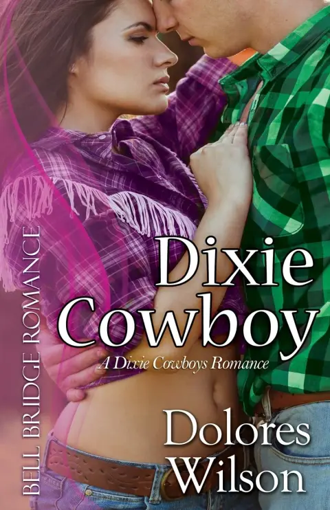 Cover of Dixie Cowboy