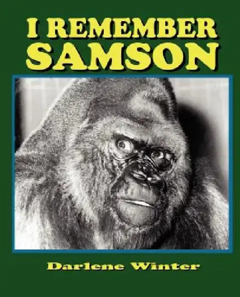 Cover of I Remember Samson