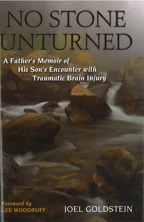 Cover of No Stone Unturned