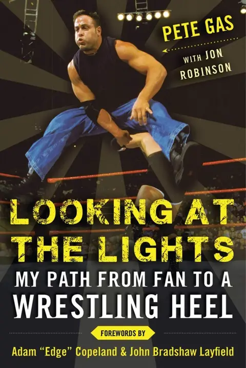 Cover of Looking at the Lights