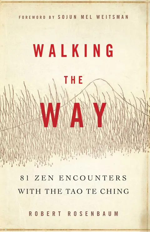 Cover of Walking the Way
