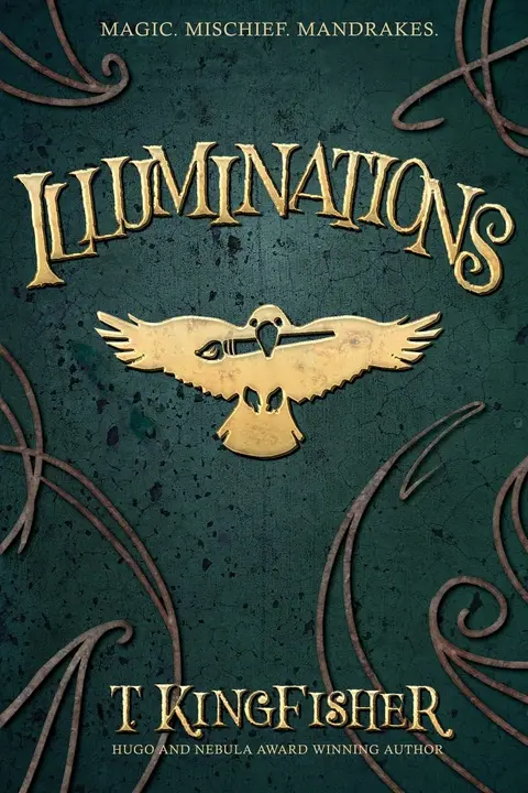 Cover of Illuminations