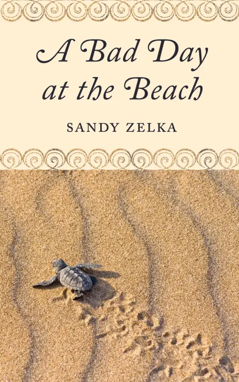 Cover of A Bad Day at the Beach