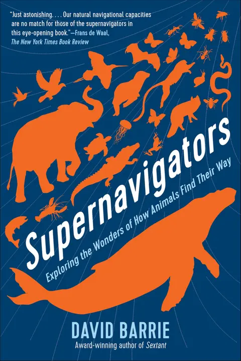 Cover of Supernavigators