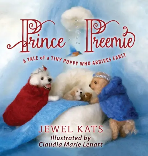 Cover of Prince Preemie