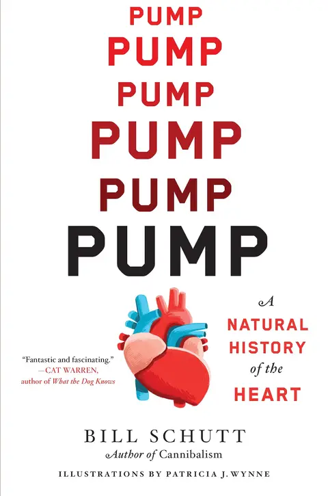 Cover of Pump