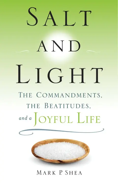 Cover of Salt and Light
