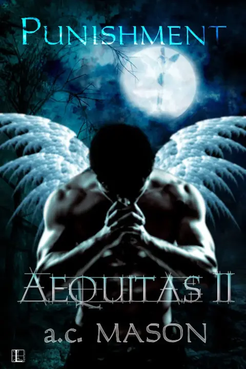 Cover of Aequitas II Punishment