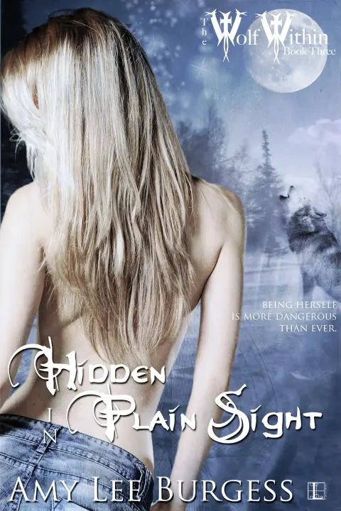Cover of Hidden in Plain Sight