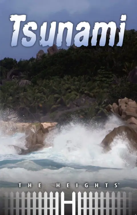 Cover of Tsunami