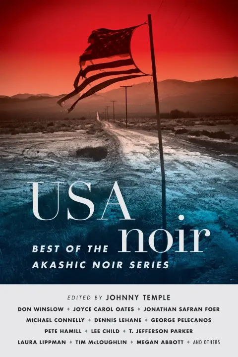 Cover of USA Noir