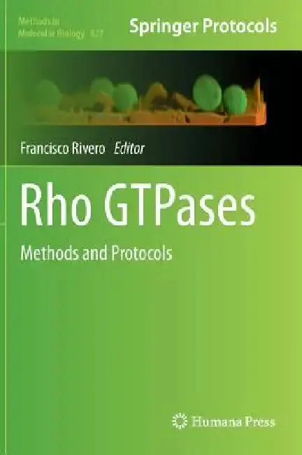 Cover of Rho Gtpases