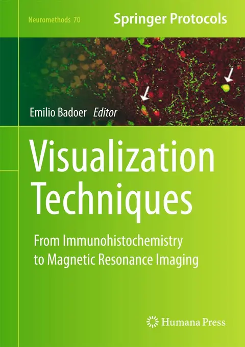 Cover of Visualization Techniques