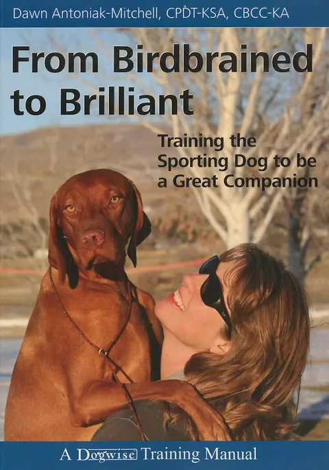 Cover of From Birdbrained to Brilliant